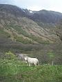 Aviemore-Fort William (158)